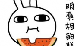 往期吃瓜爆料图片搞笑,盘点那些搞笑的爆料瞬间